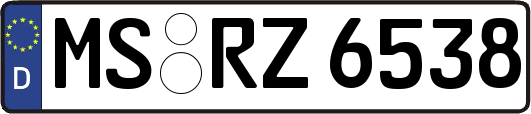 MS-RZ6538