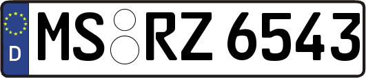 MS-RZ6543