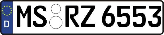 MS-RZ6553