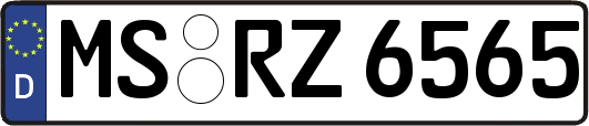 MS-RZ6565