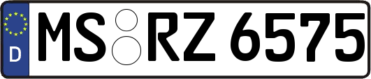 MS-RZ6575