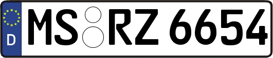MS-RZ6654