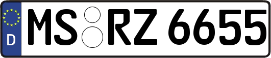 MS-RZ6655
