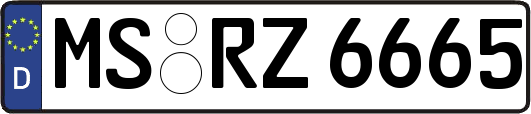 MS-RZ6665