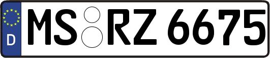 MS-RZ6675