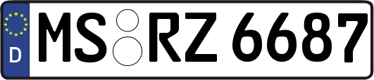 MS-RZ6687