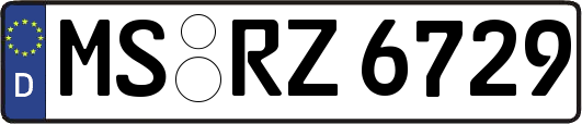 MS-RZ6729