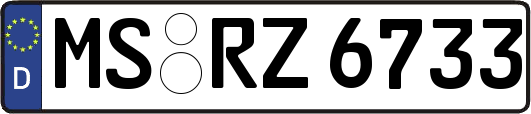 MS-RZ6733