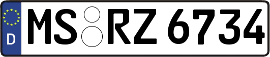 MS-RZ6734