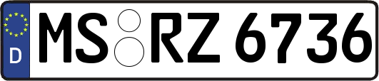 MS-RZ6736