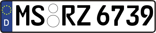 MS-RZ6739