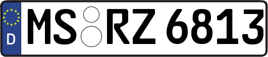 MS-RZ6813