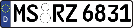 MS-RZ6831