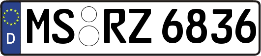 MS-RZ6836