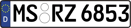 MS-RZ6853