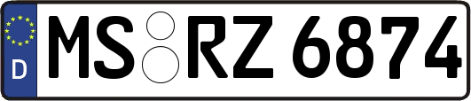 MS-RZ6874