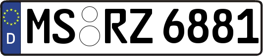 MS-RZ6881