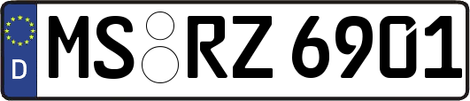 MS-RZ6901