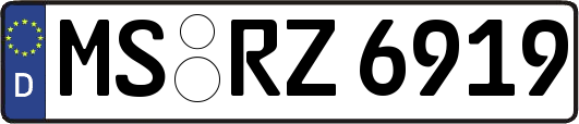 MS-RZ6919