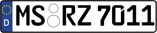 MS-RZ7011