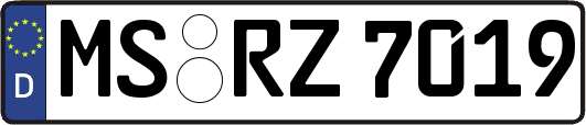 MS-RZ7019