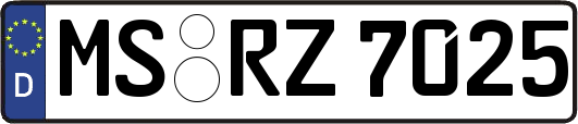 MS-RZ7025