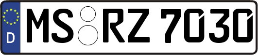 MS-RZ7030
