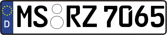 MS-RZ7065