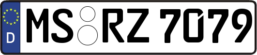 MS-RZ7079