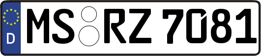 MS-RZ7081