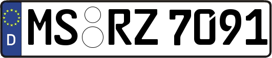 MS-RZ7091