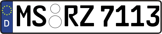 MS-RZ7113