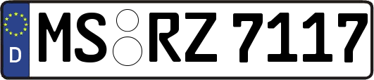 MS-RZ7117