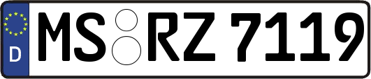 MS-RZ7119
