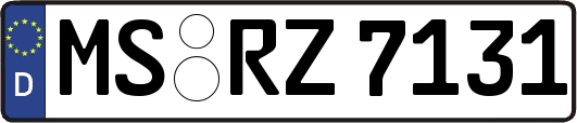 MS-RZ7131