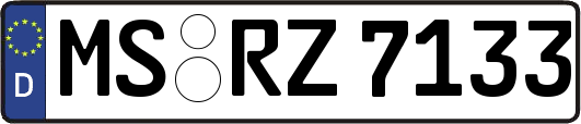 MS-RZ7133