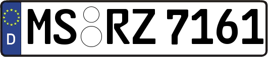 MS-RZ7161