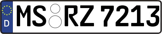 MS-RZ7213