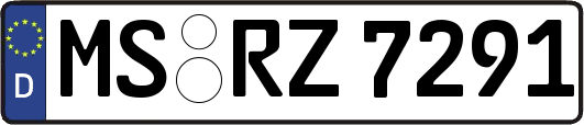 MS-RZ7291
