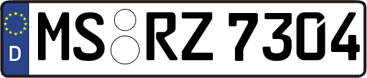 MS-RZ7304