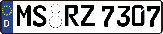 MS-RZ7307