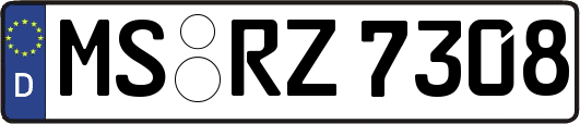 MS-RZ7308