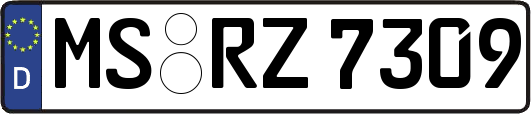 MS-RZ7309