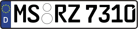 MS-RZ7310