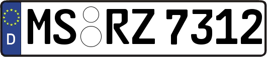 MS-RZ7312