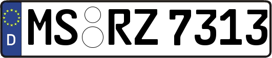 MS-RZ7313