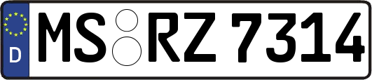 MS-RZ7314