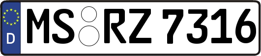 MS-RZ7316