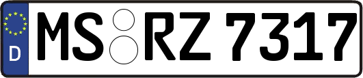 MS-RZ7317