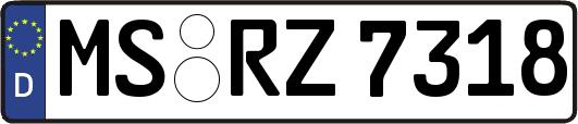 MS-RZ7318